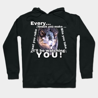 Bub is watching you! Hoodie